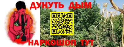 каннабис Новозыбков