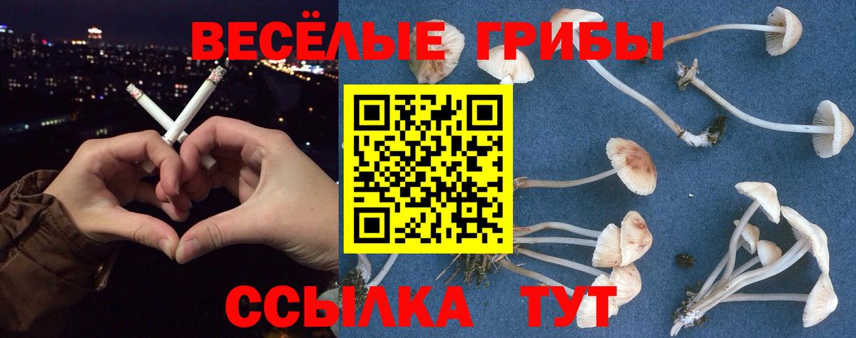 Галлюциногенные грибы ЛСД  Вход с VPN  Нижний Новгород  Галлюциногенные грибы Magic Shrooms 