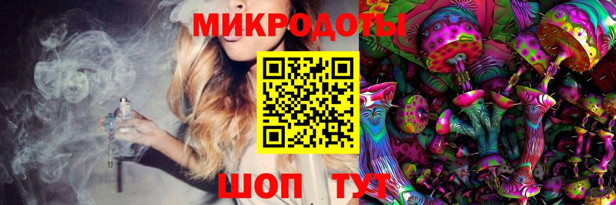 Псилоцибиновые грибы прущие грибы Нижний Новгород